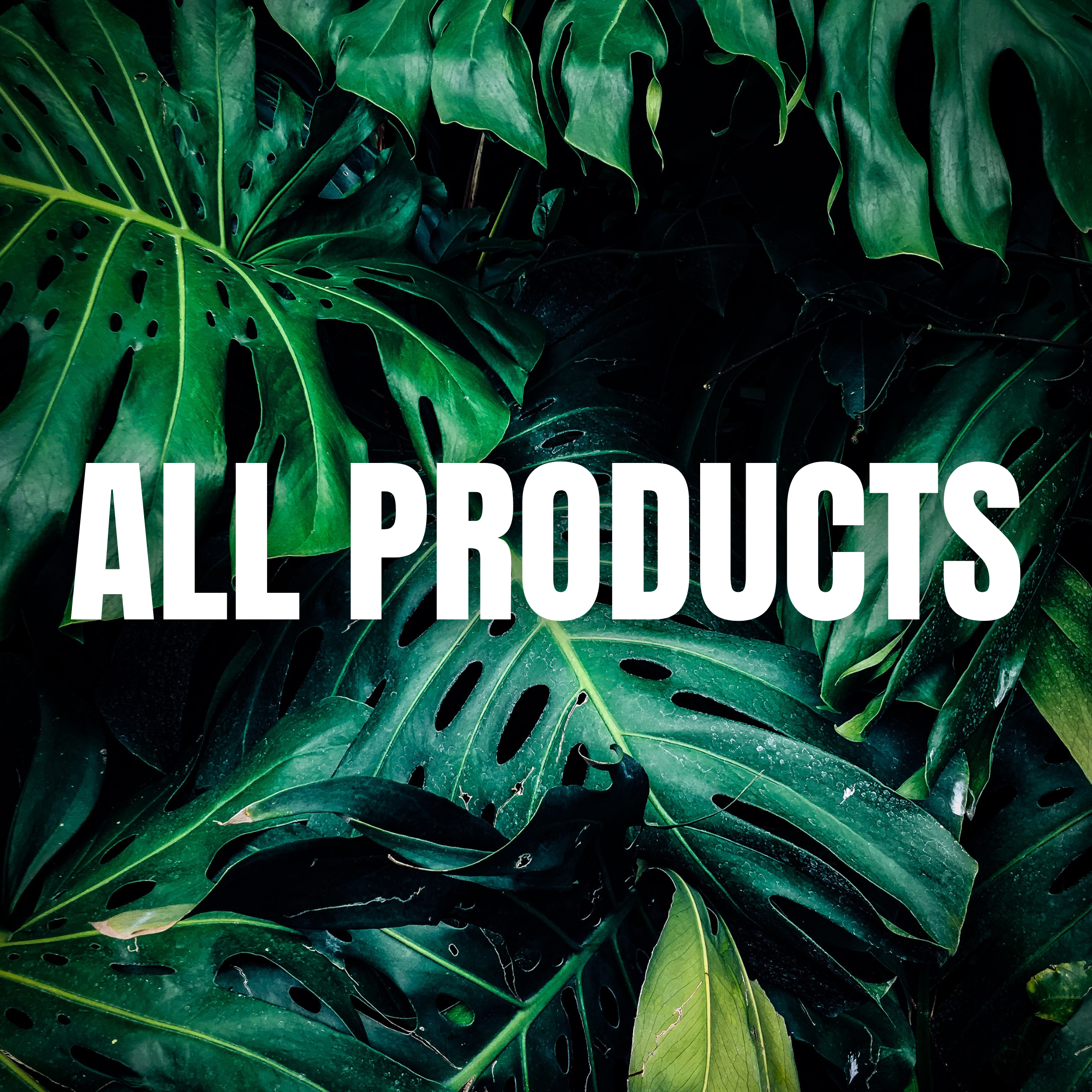 All Products