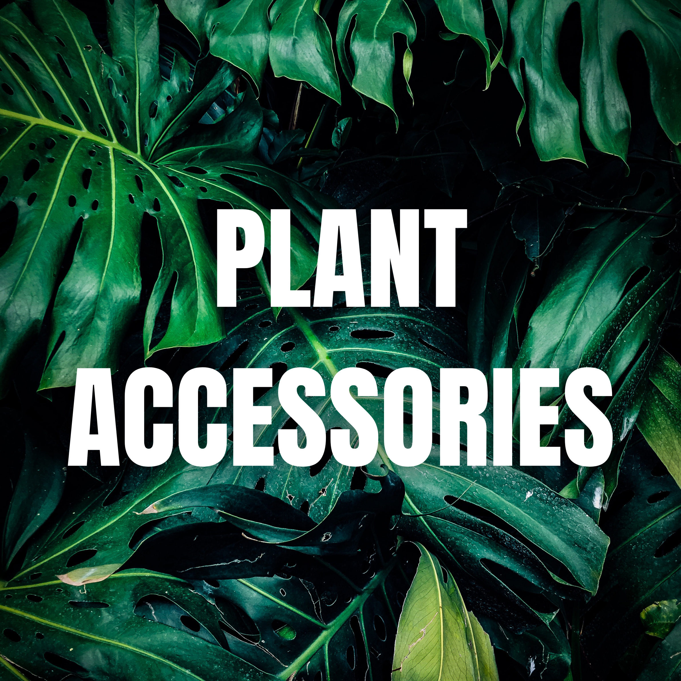 Plant Accessories