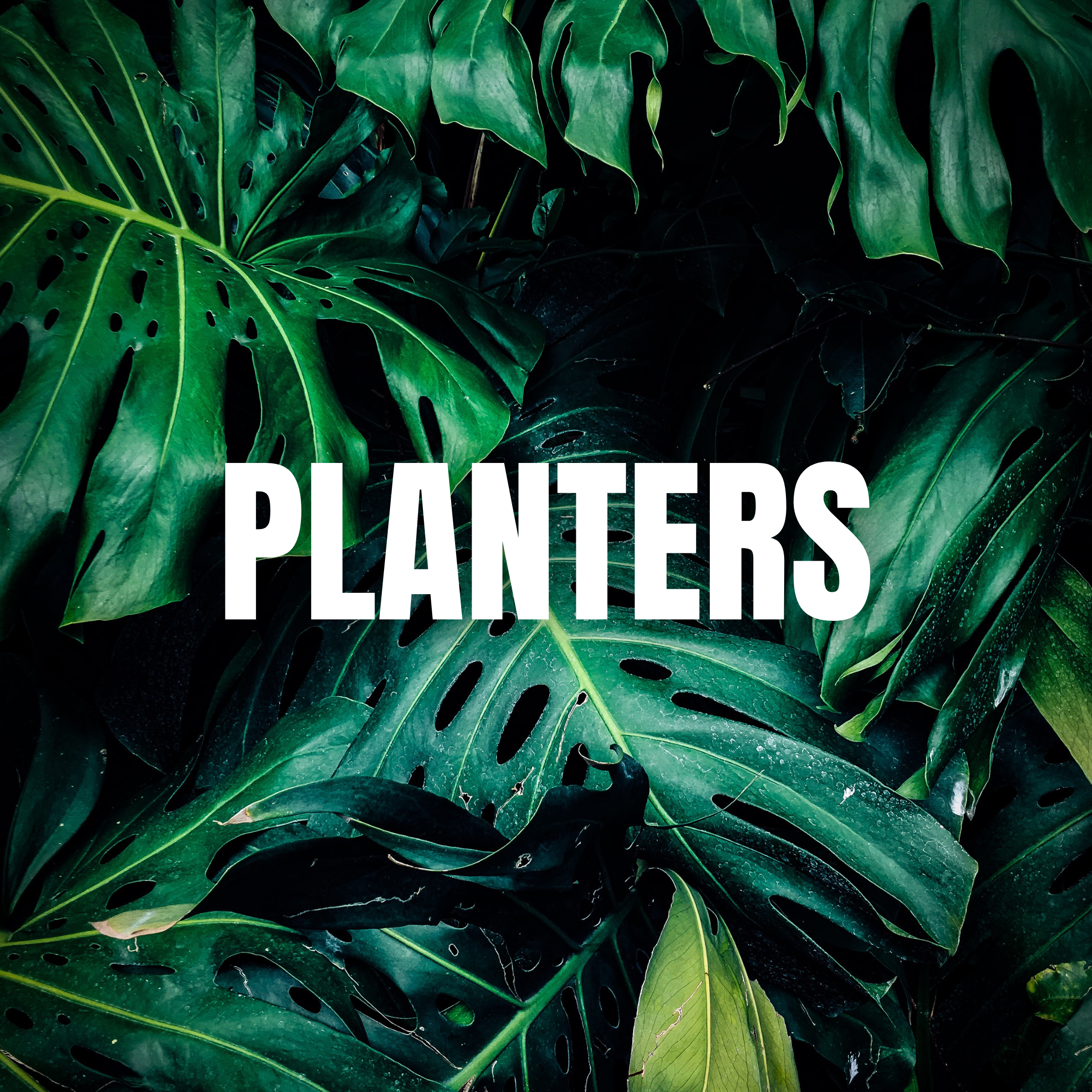 Planters