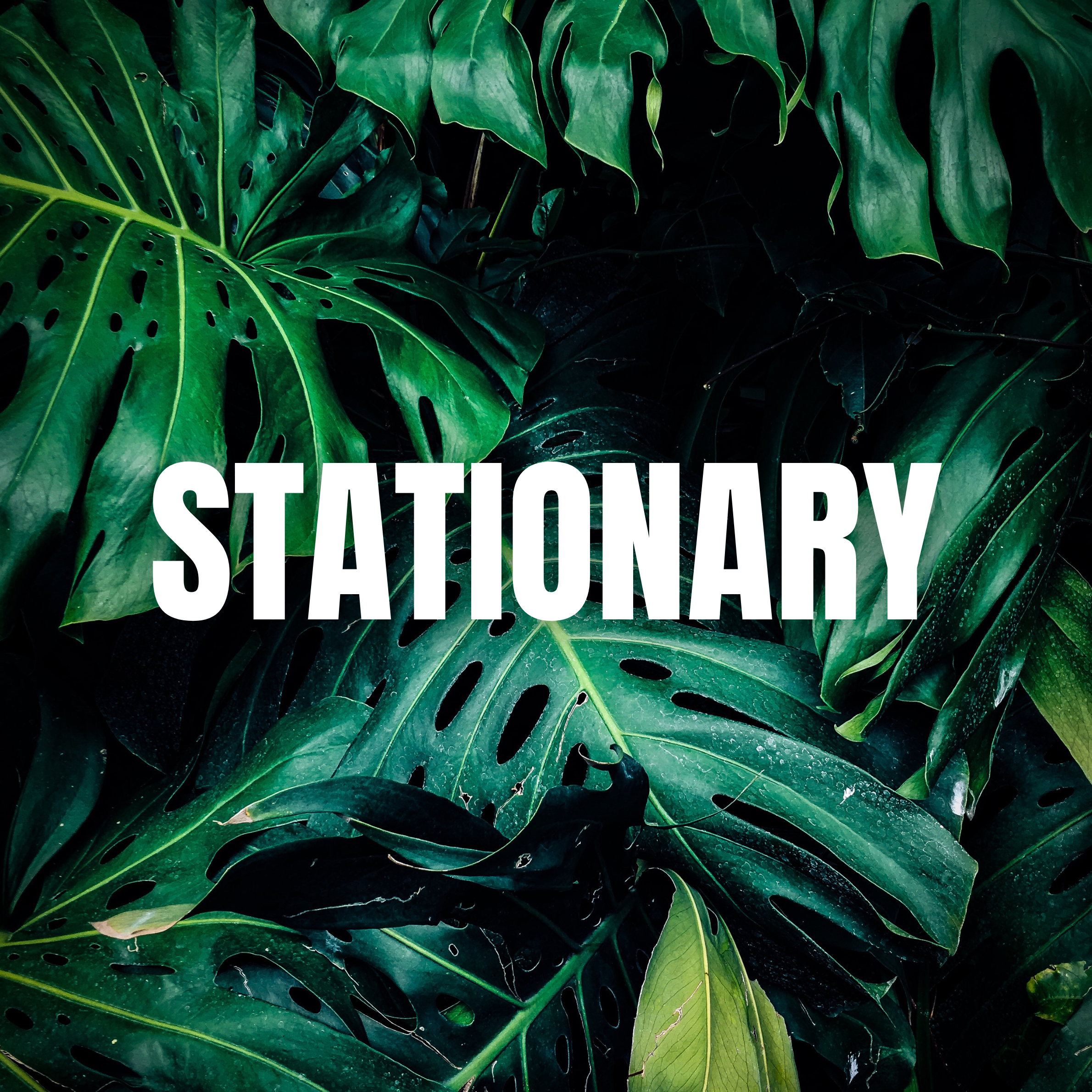 Stationary