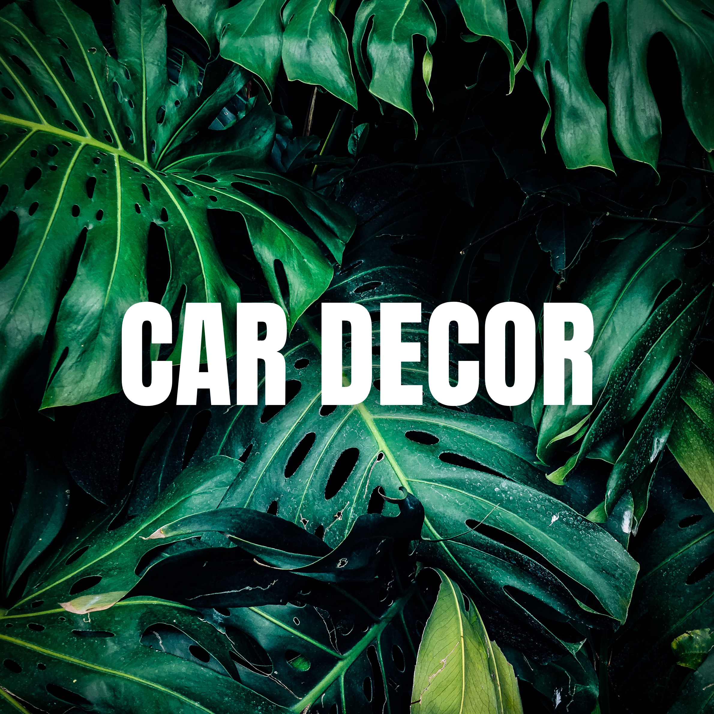 Car Decor