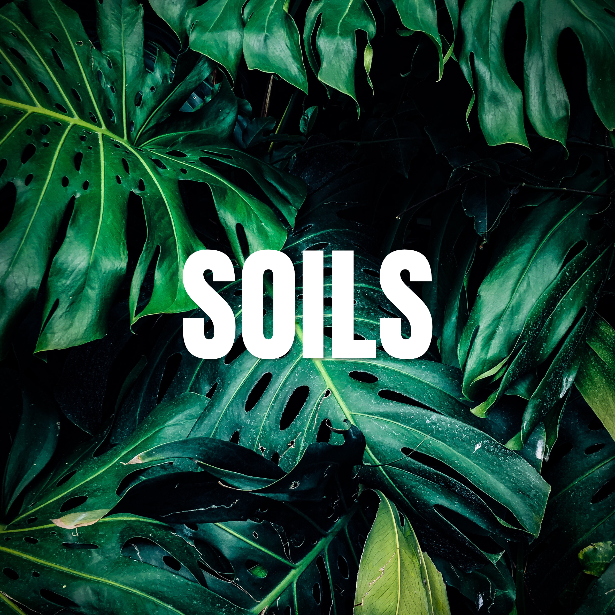Soil