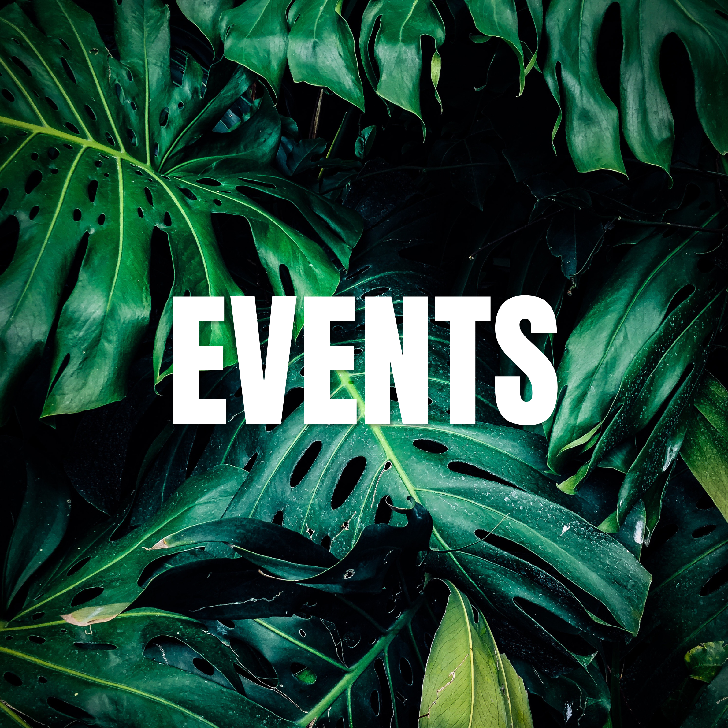 Events