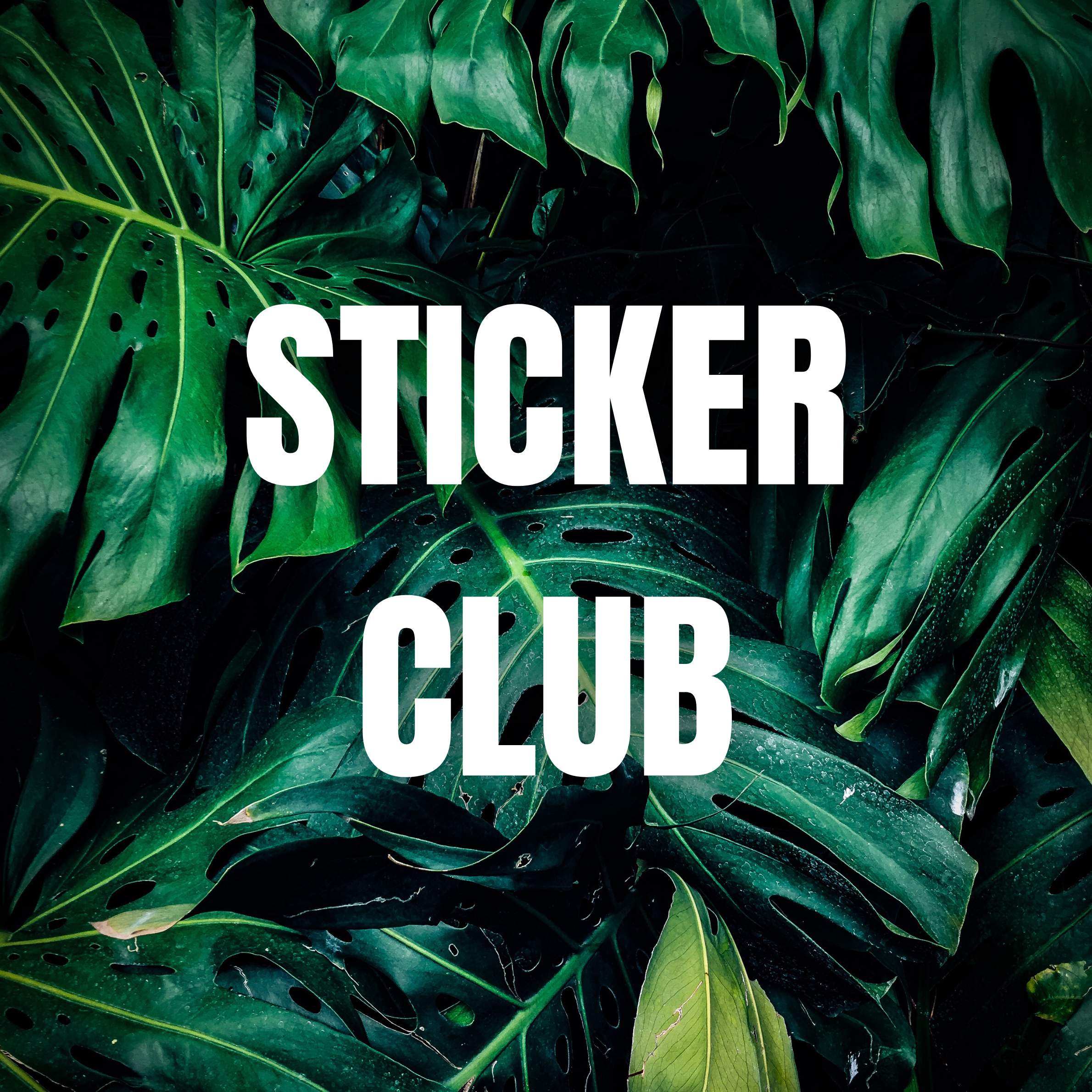 Sticker Club