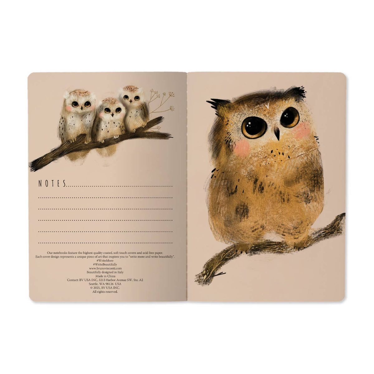 Owlets Notebook