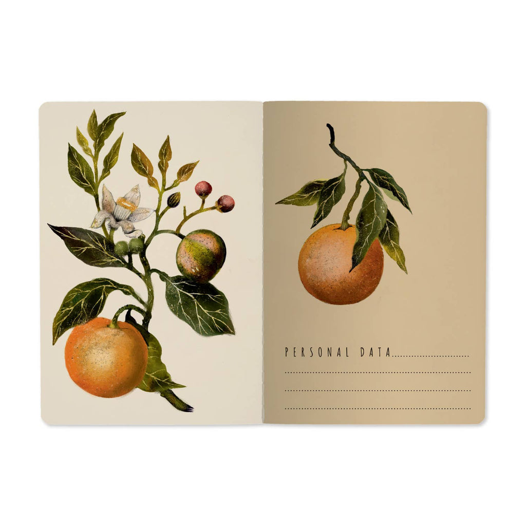 Oranges and Blossoms Notebook