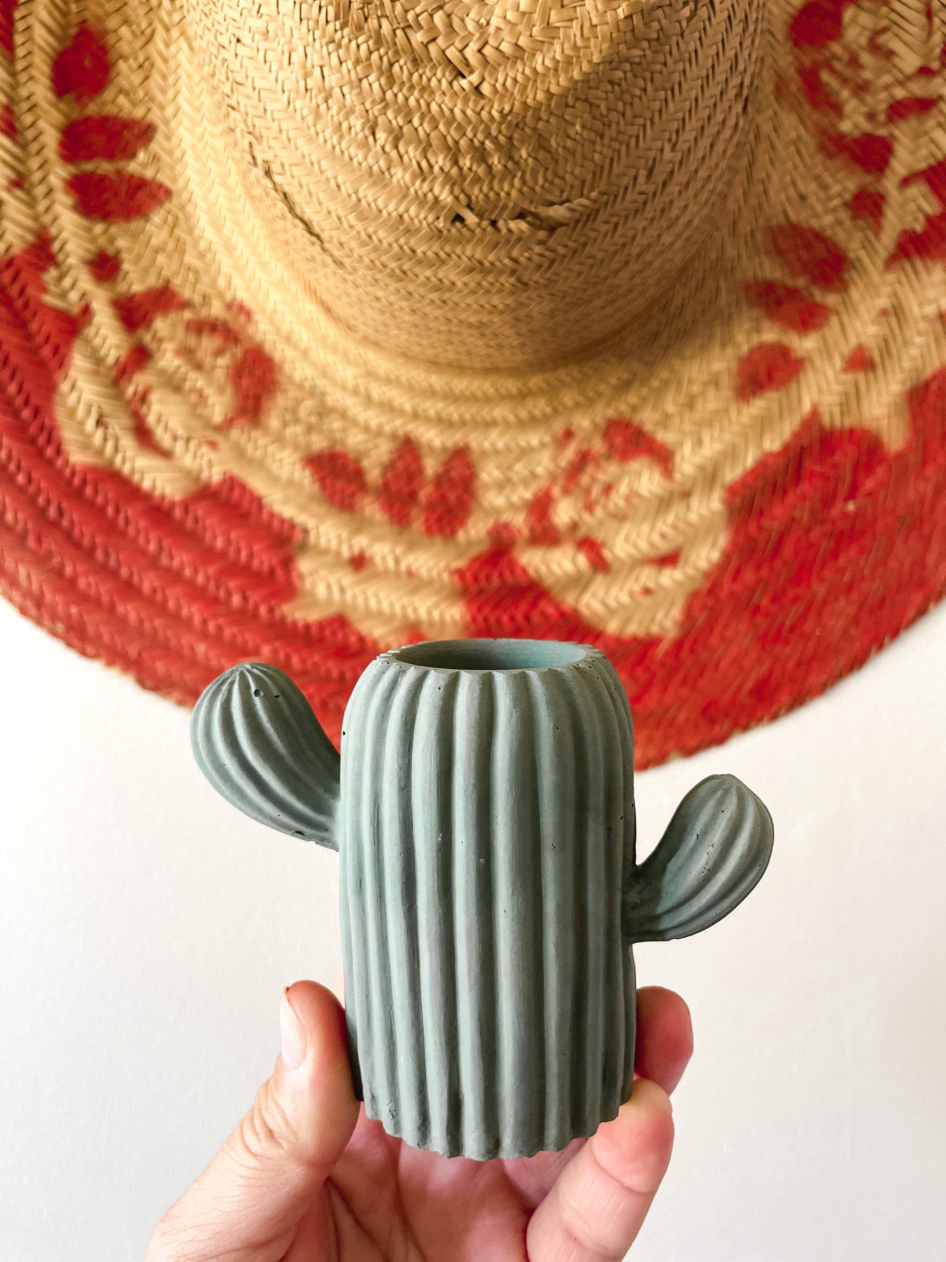 Mini Cactus Air Plant Holder