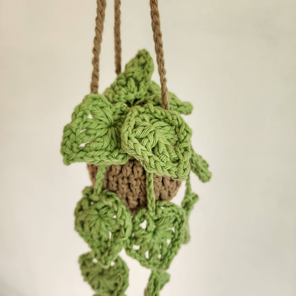 Hanging Mini Plant Car Charm