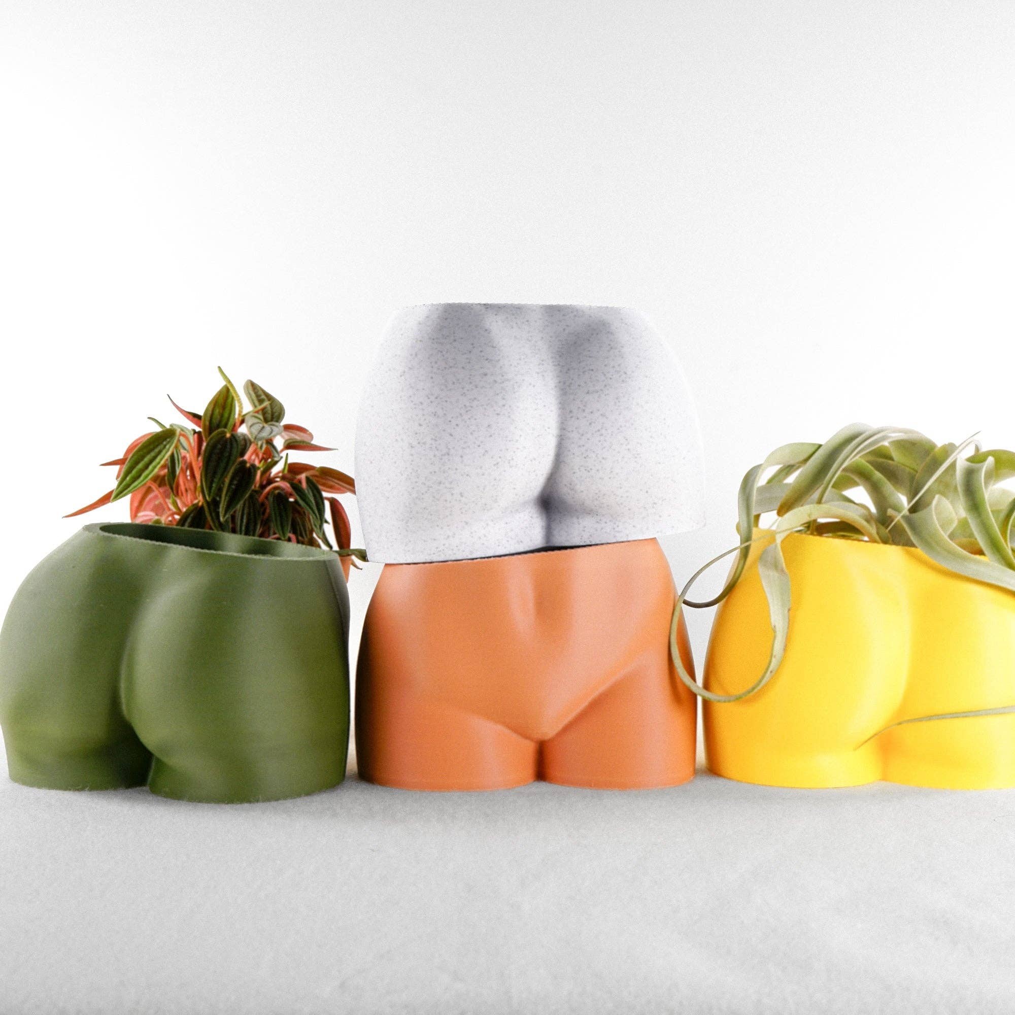3D Booty Planter