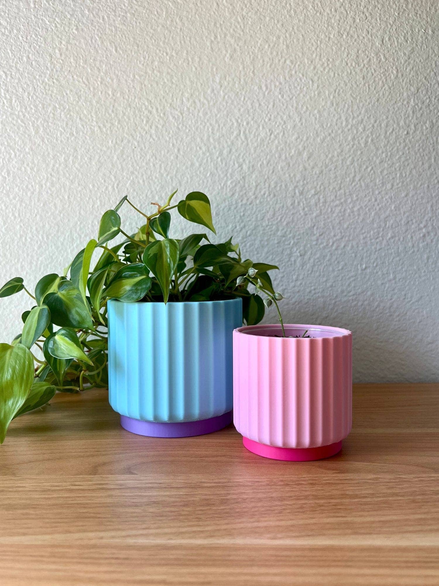 Colorful Planter 3", 4", 5"