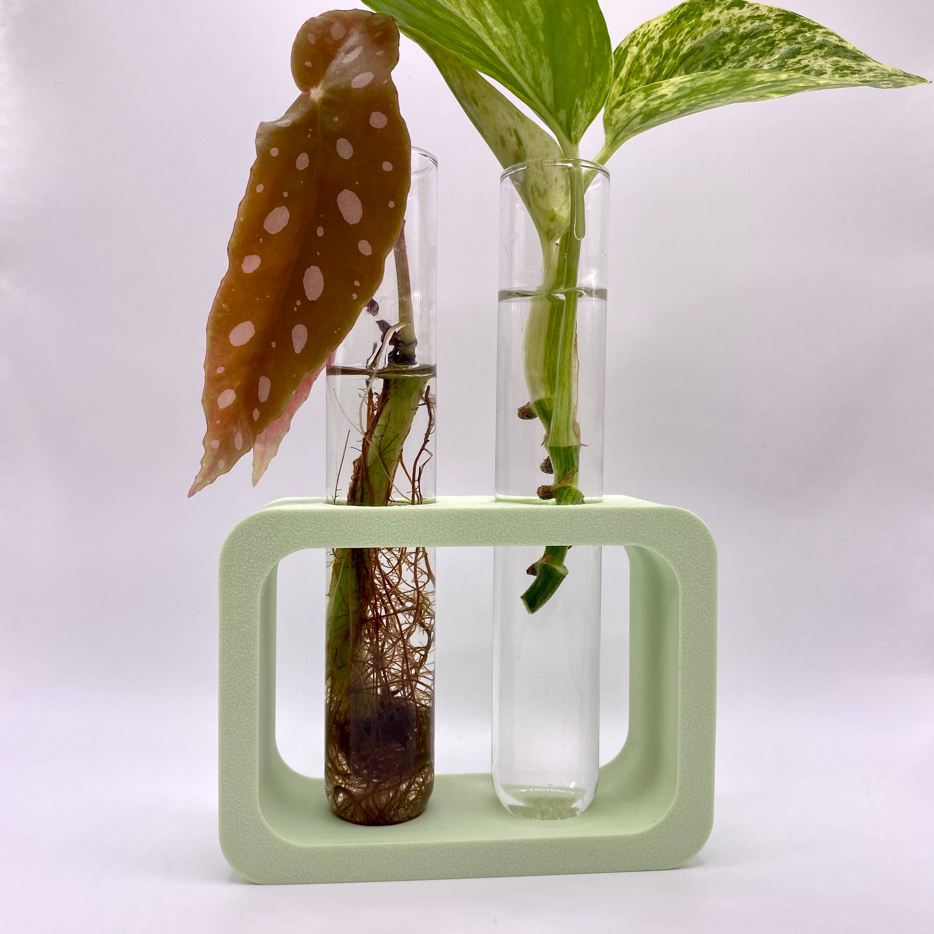 Dual Propagation Station