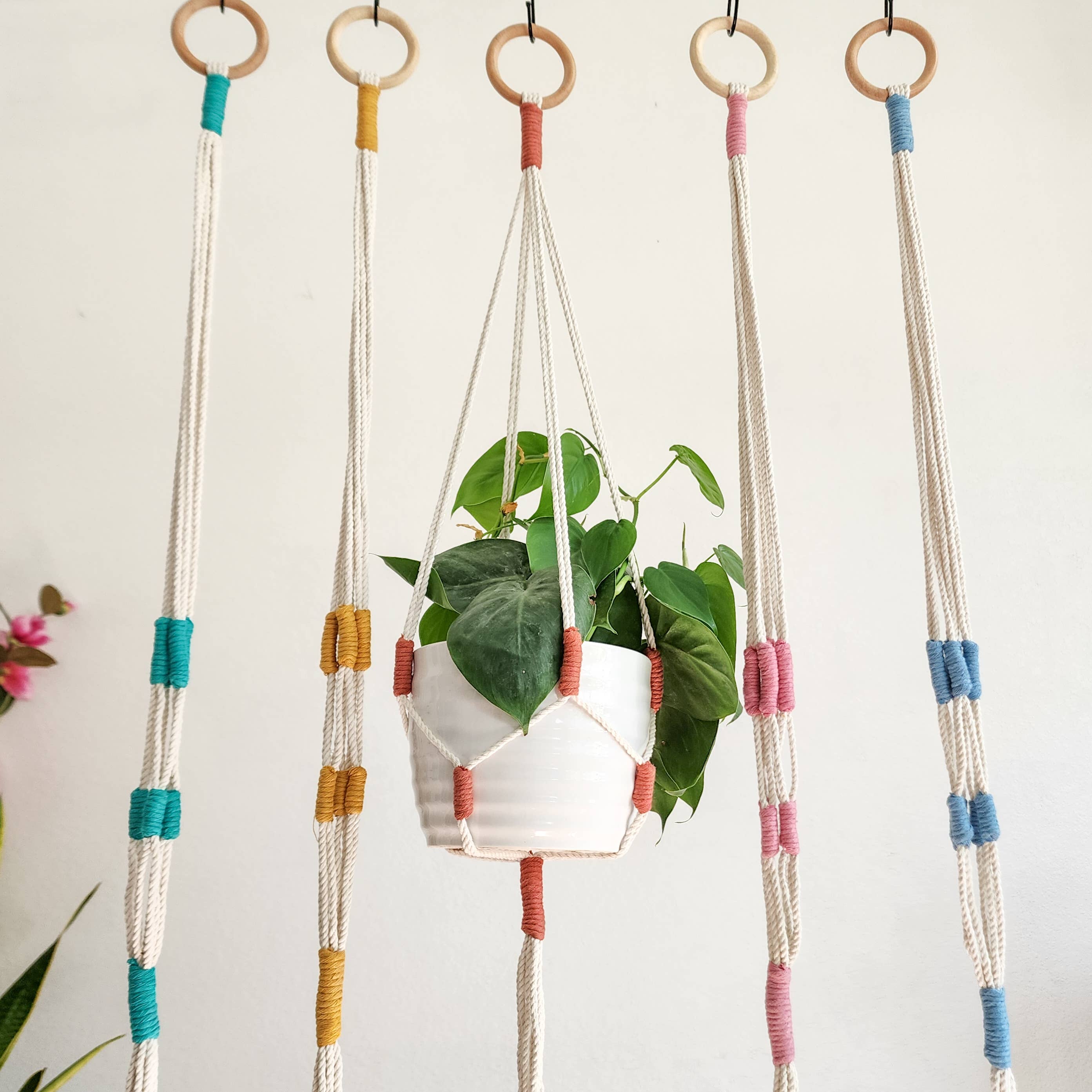 Handmade Macrame Plant Hanger