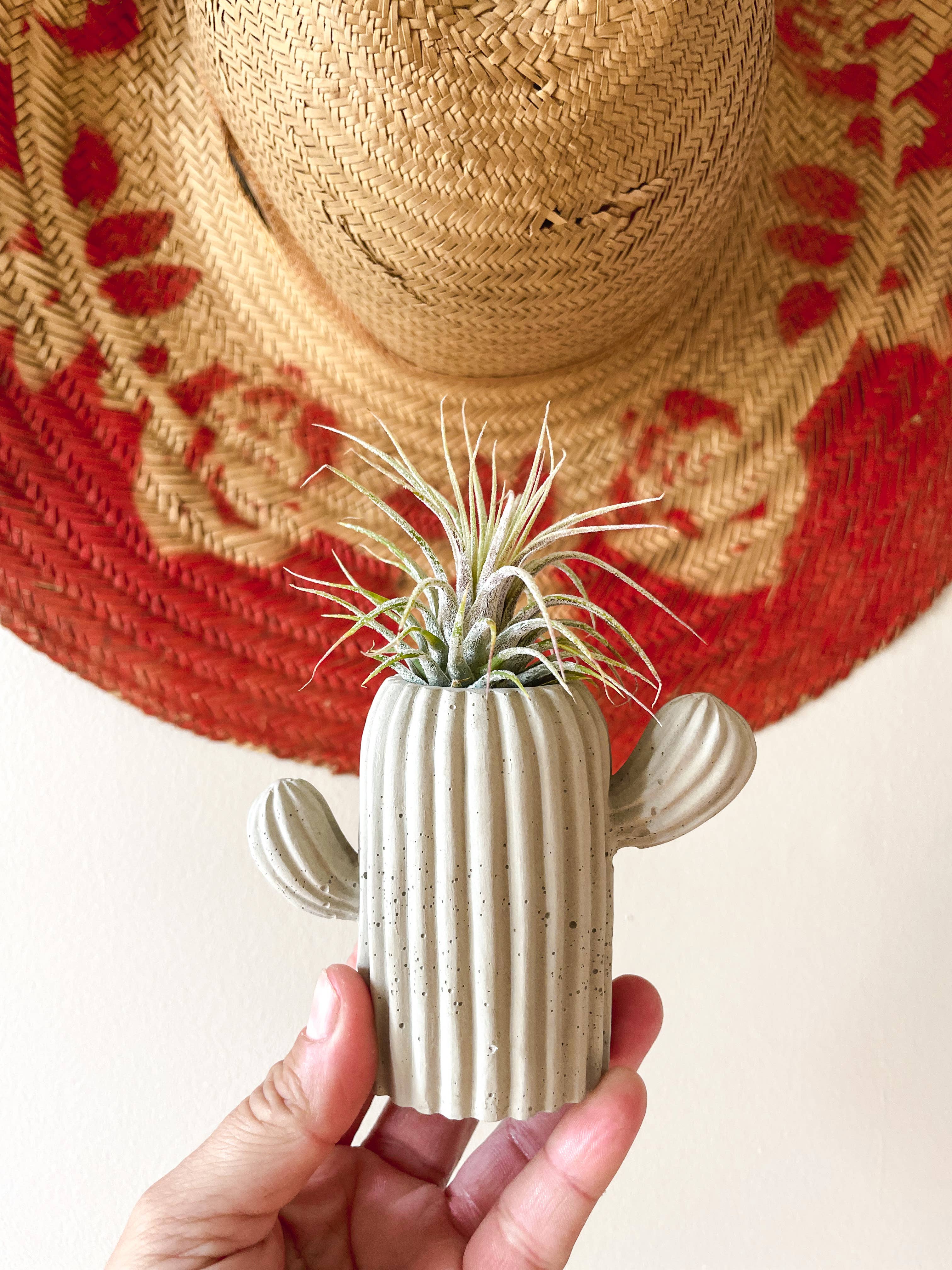 Mini Cactus Air Plant Holder