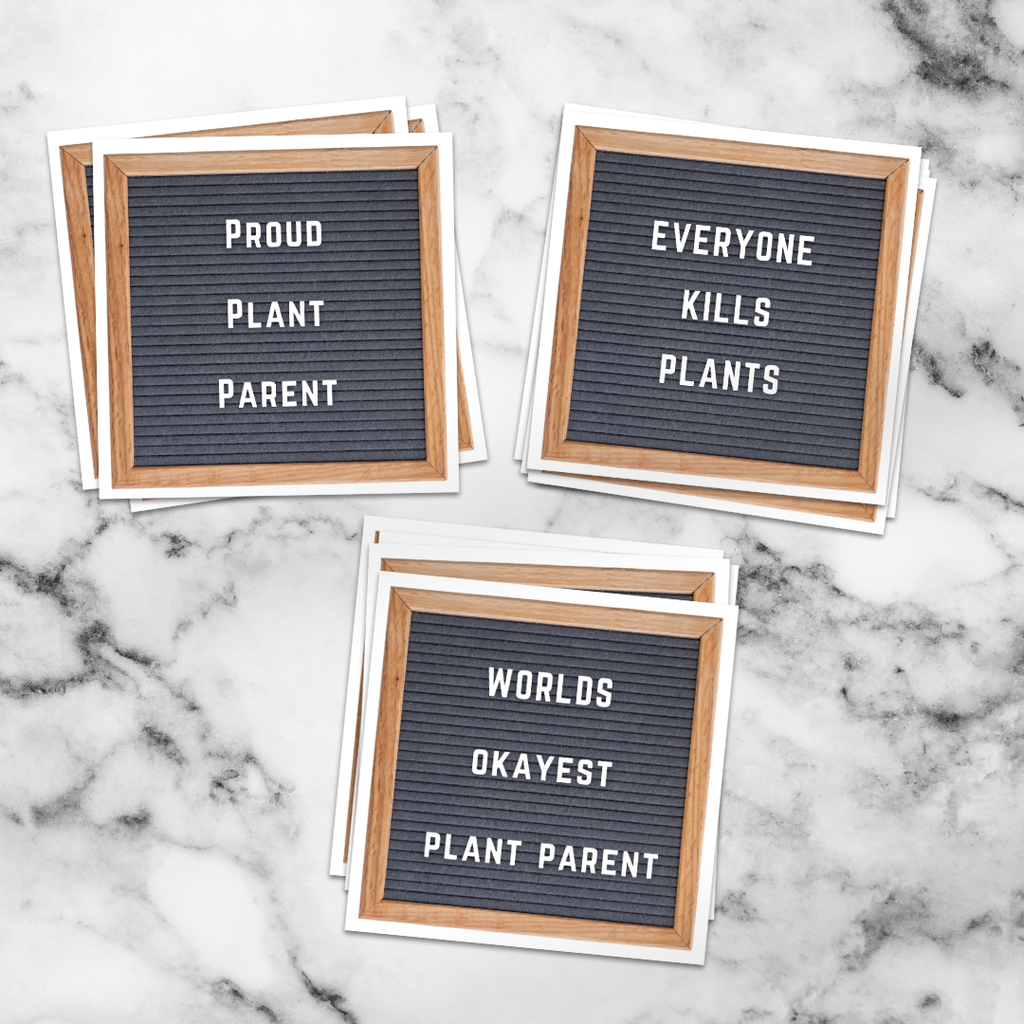Worlds Okayest Plant Parent Sticker