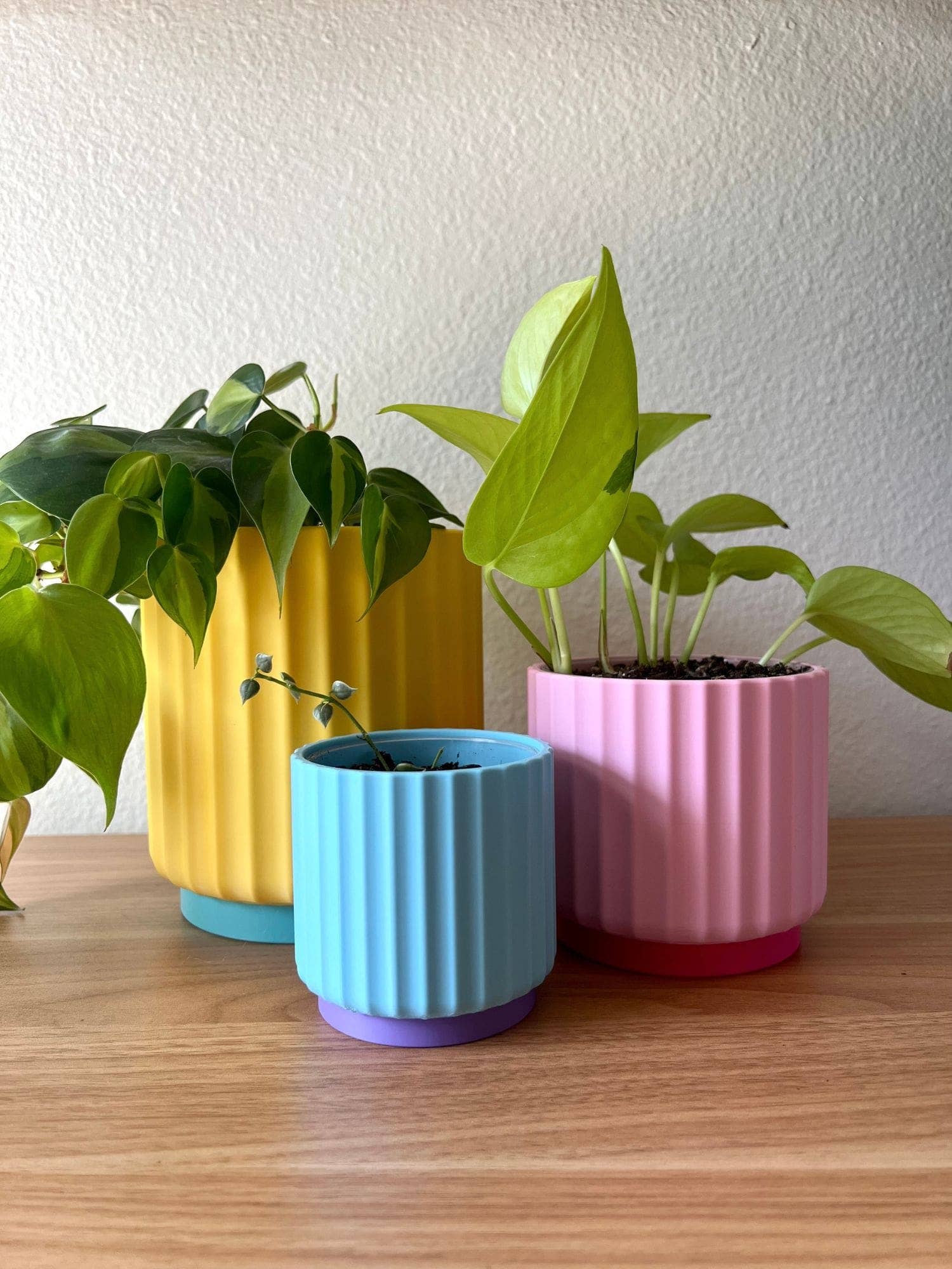 Colorful Planter 3", 4", 5"