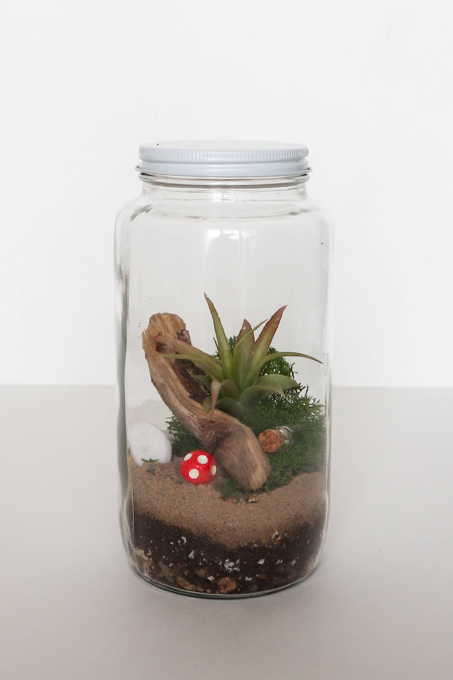 DIY Terrarium Kit