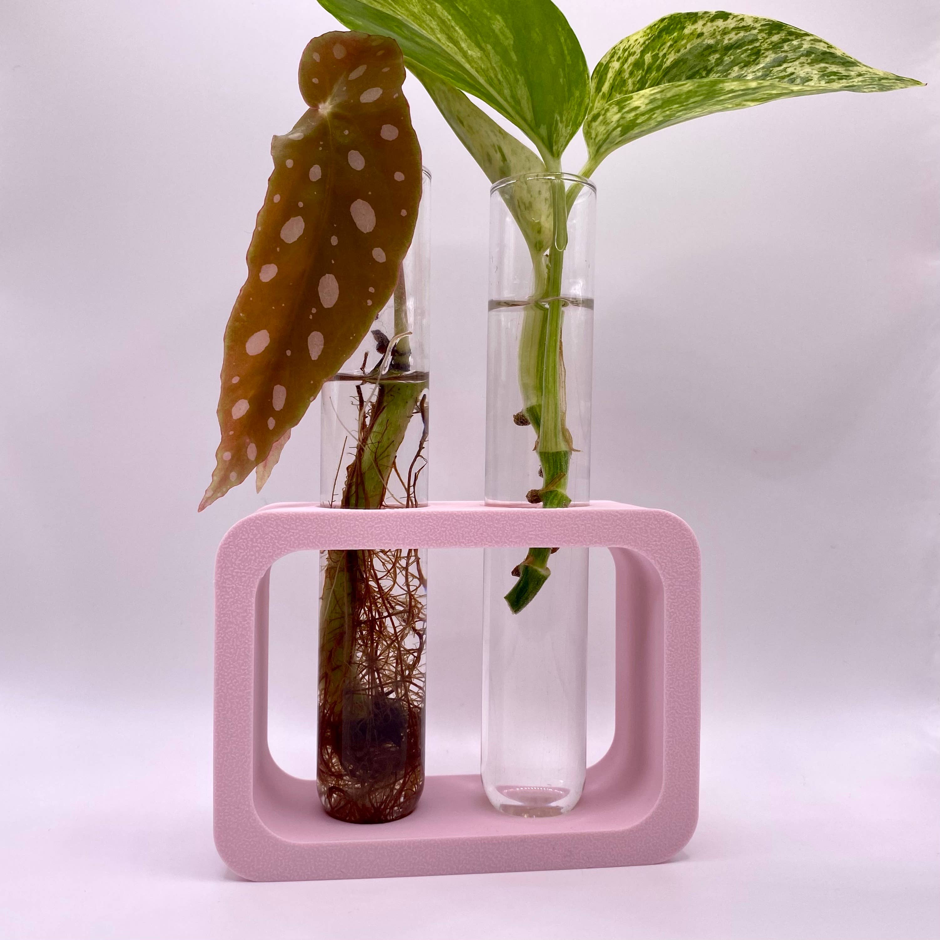 Dual Propagation Station