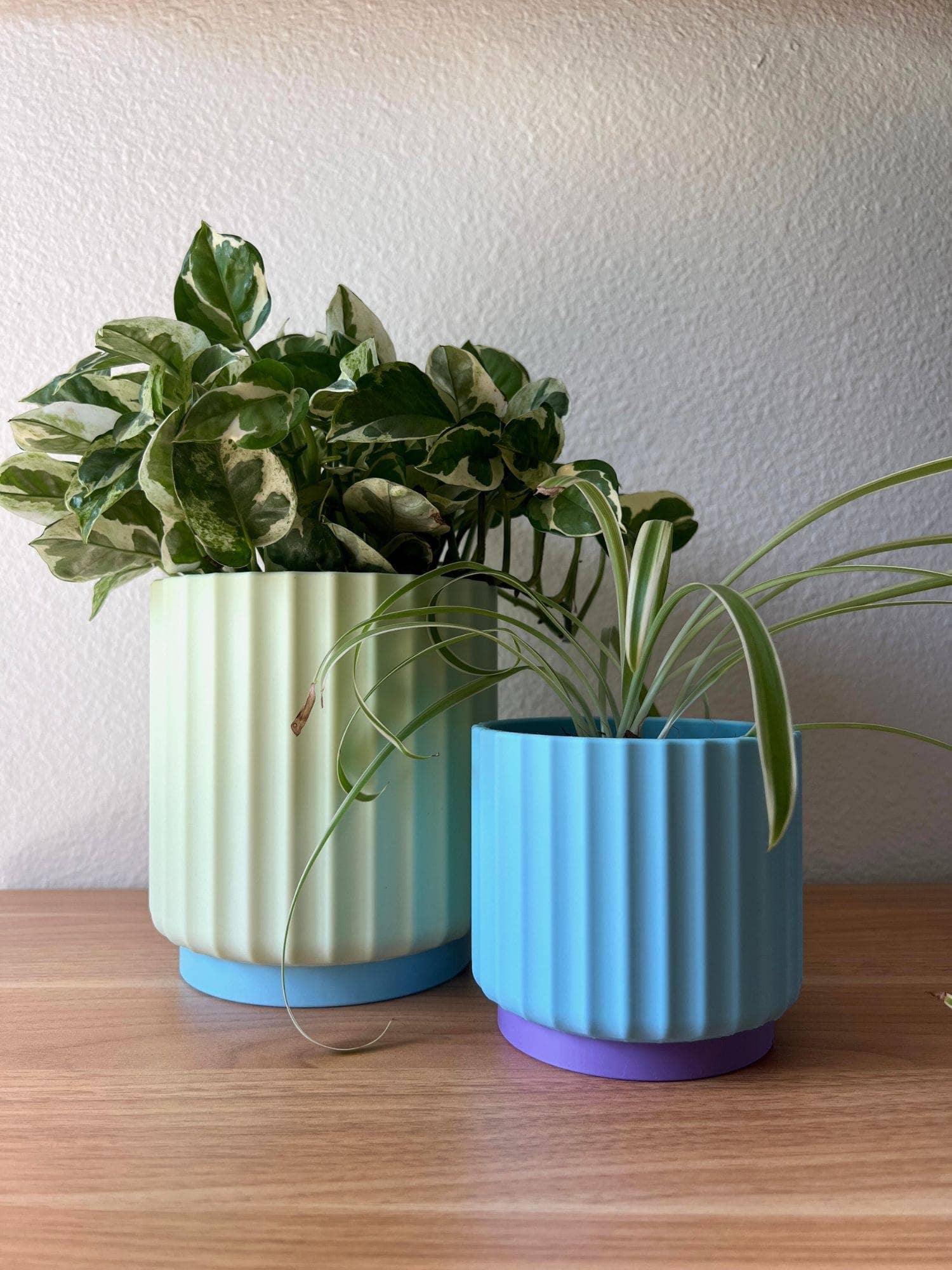 Colorful Planter 3", 4", 5"