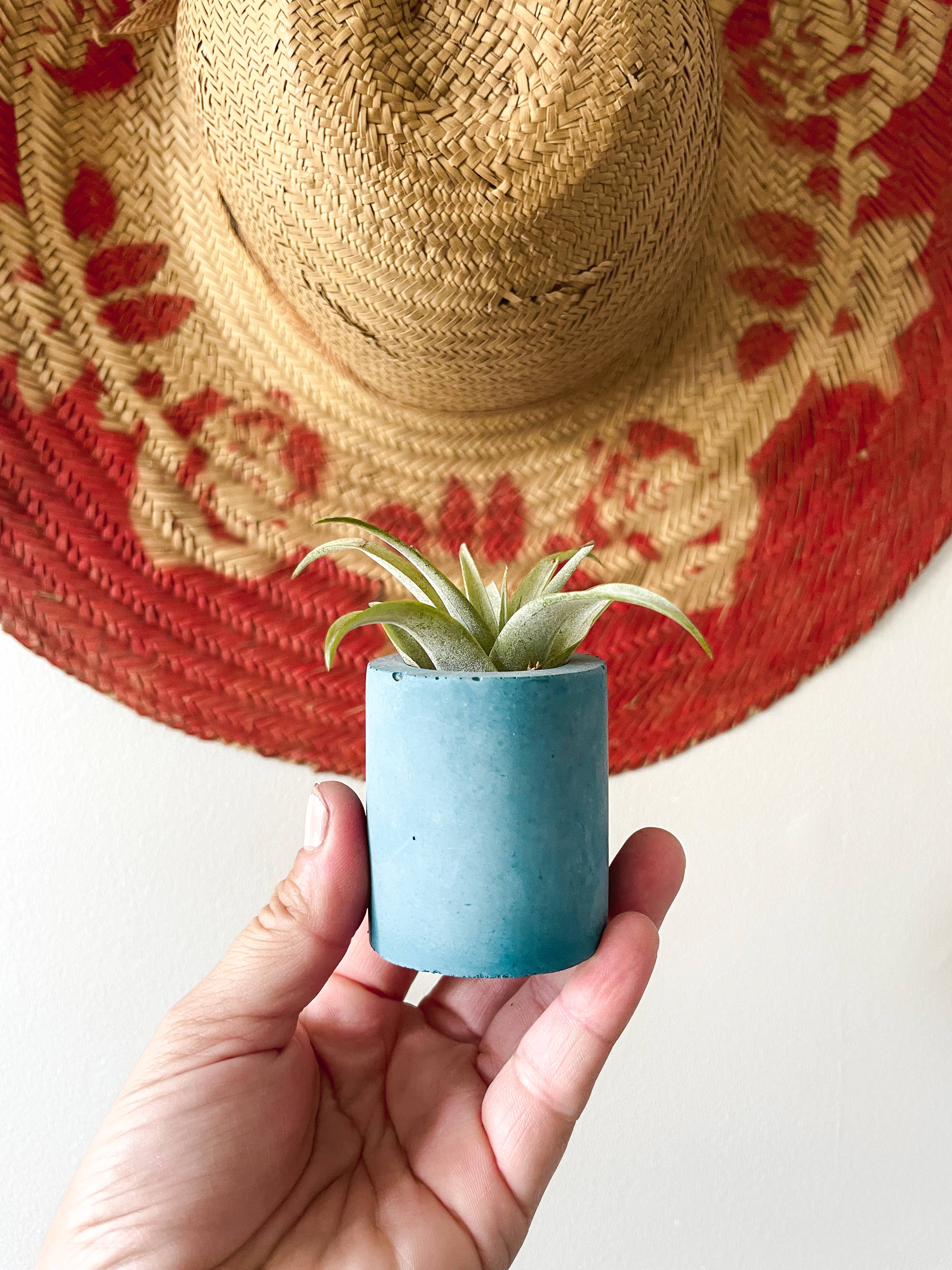 Solid Cement Air Plant Holder