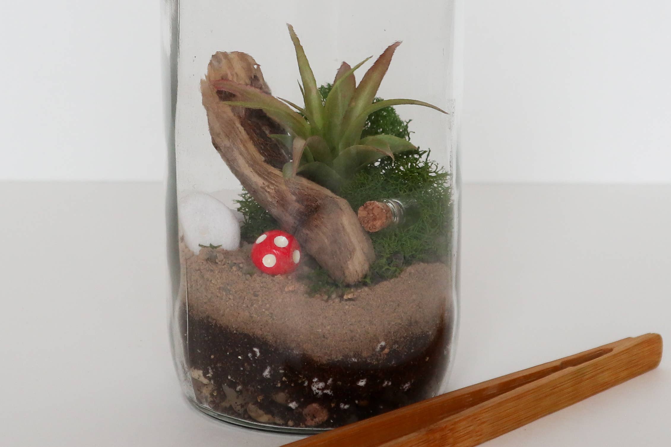 DIY Terrarium Kit