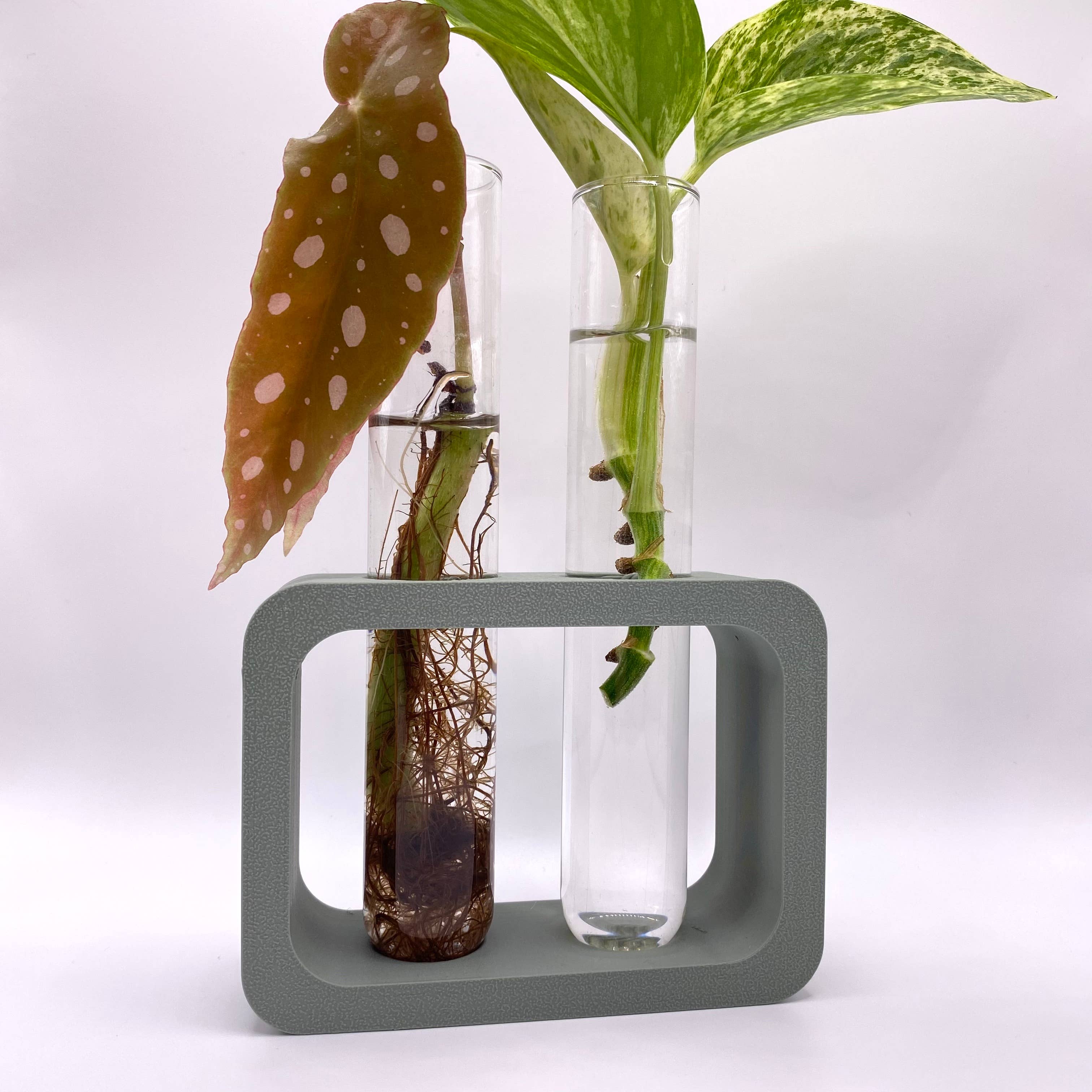 Dual Propagation Station