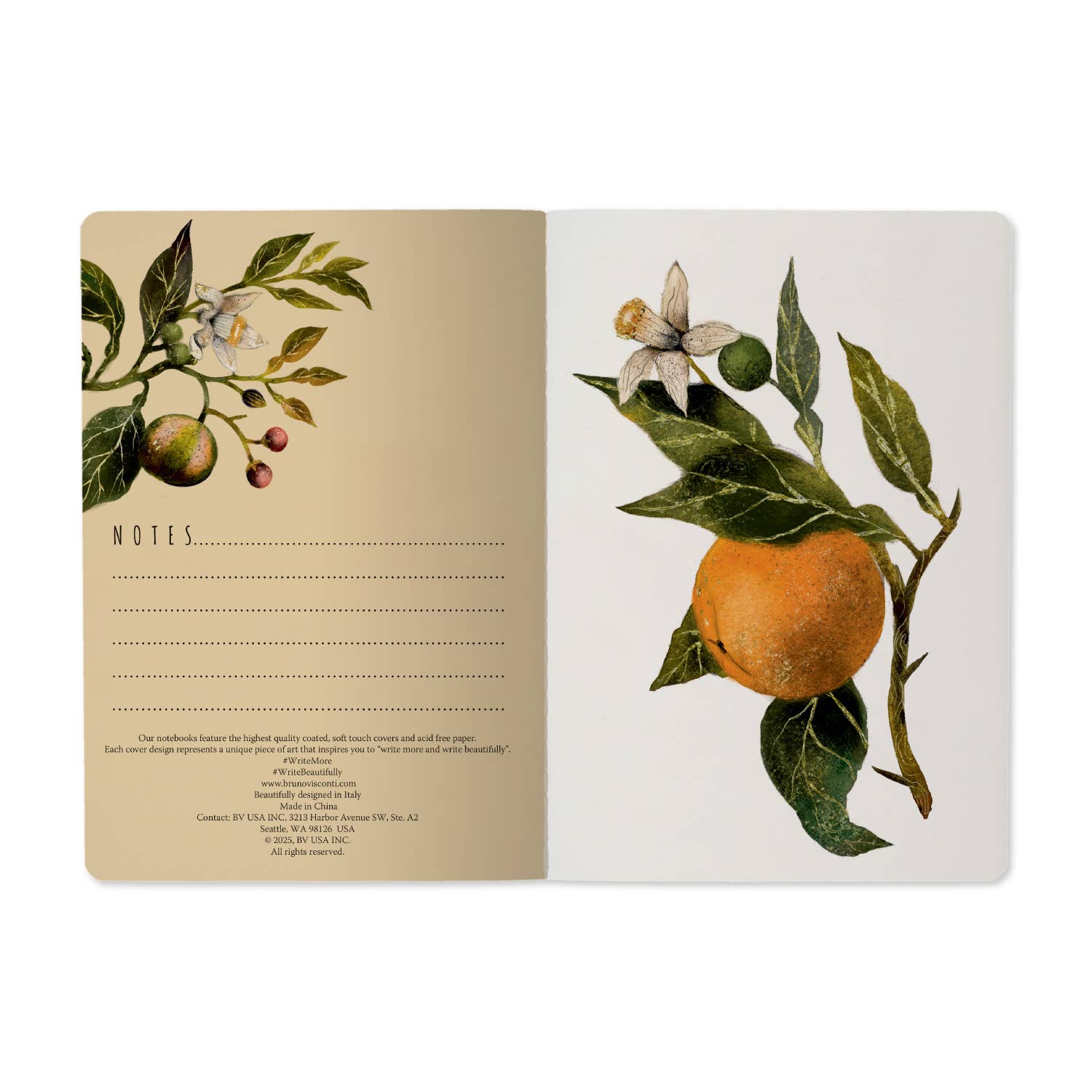 Oranges and Blossoms Notebook