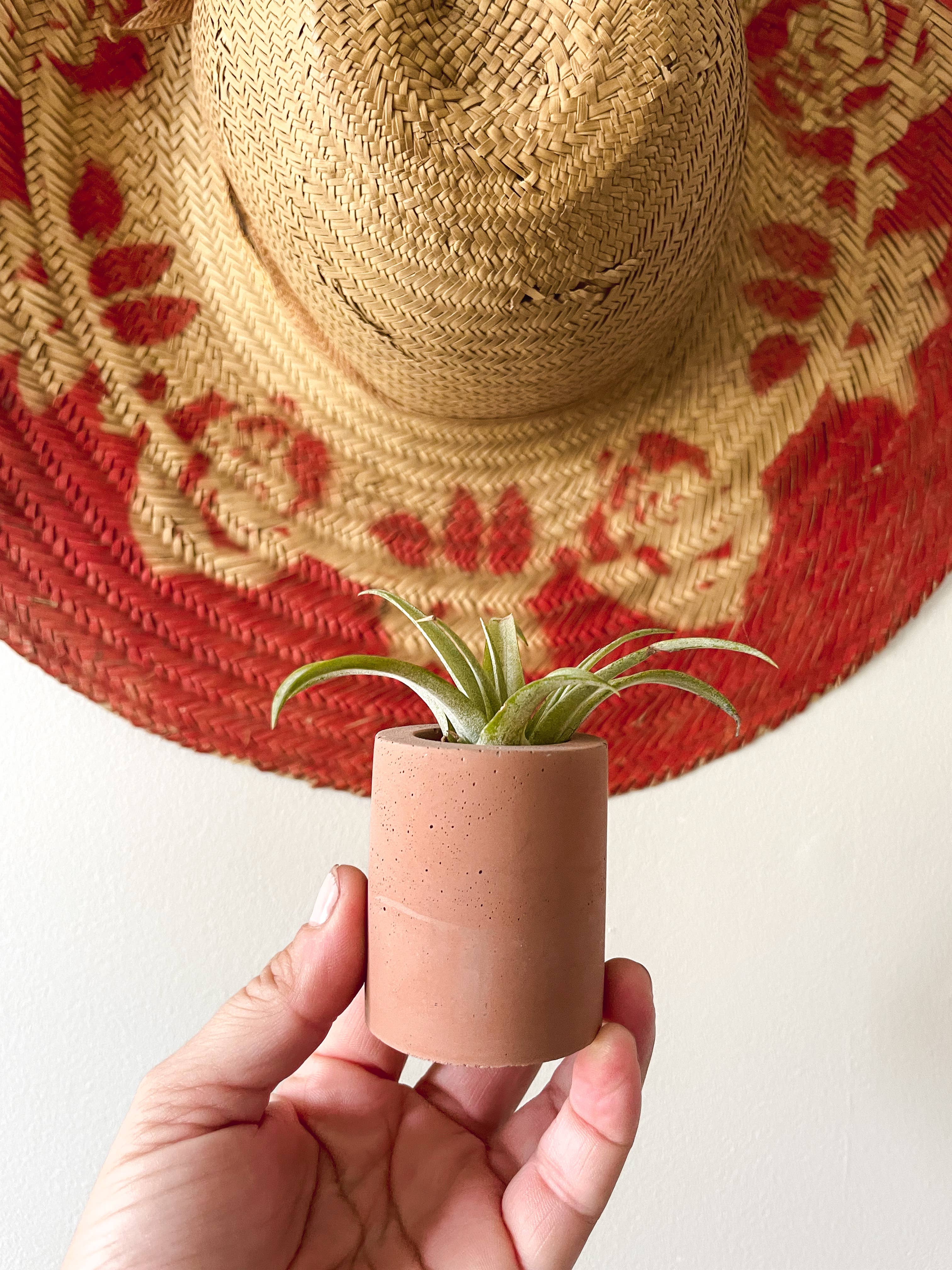Solid Cement Air Plant Holder