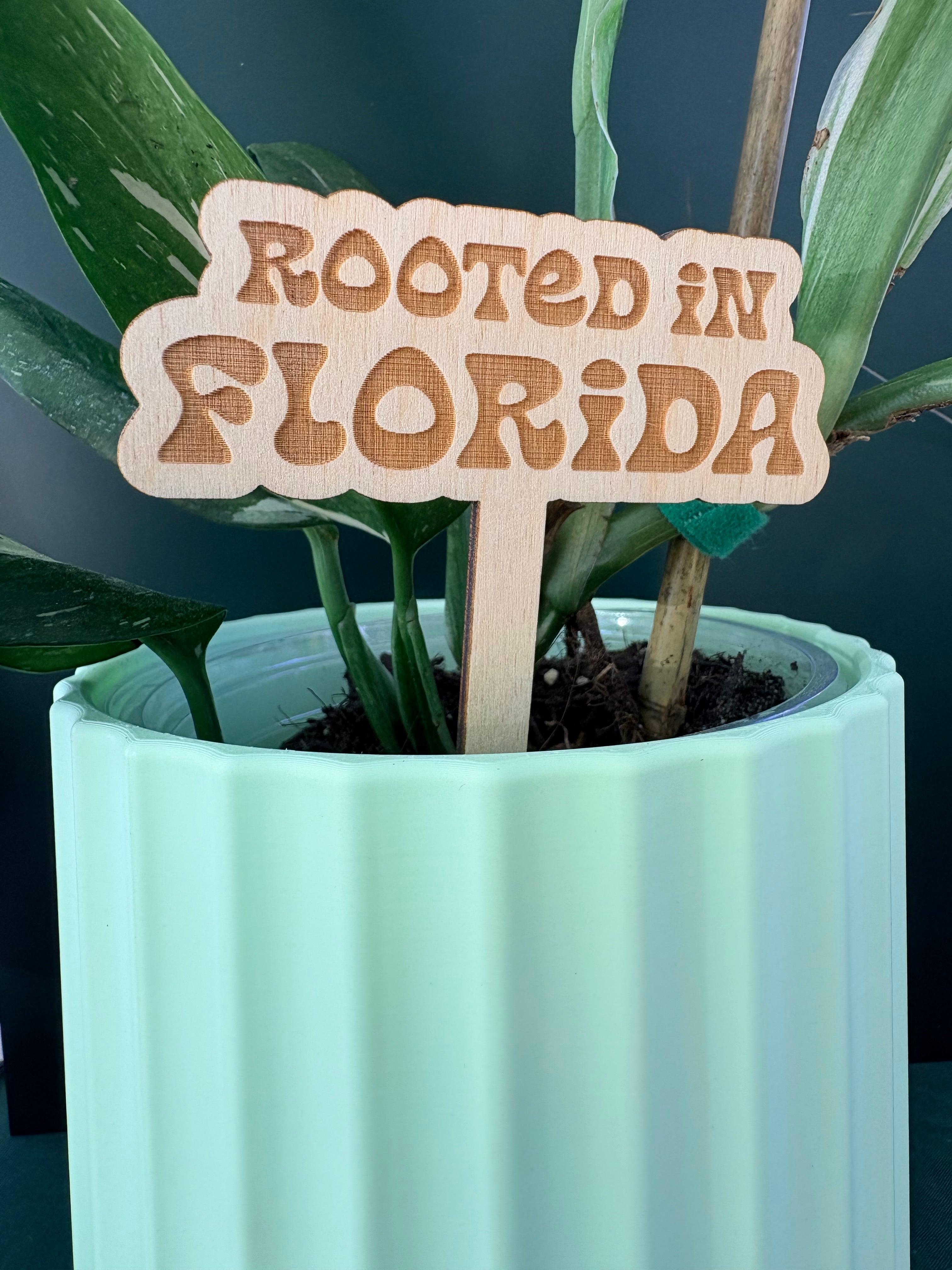 Rooted in Florida Plant Stake