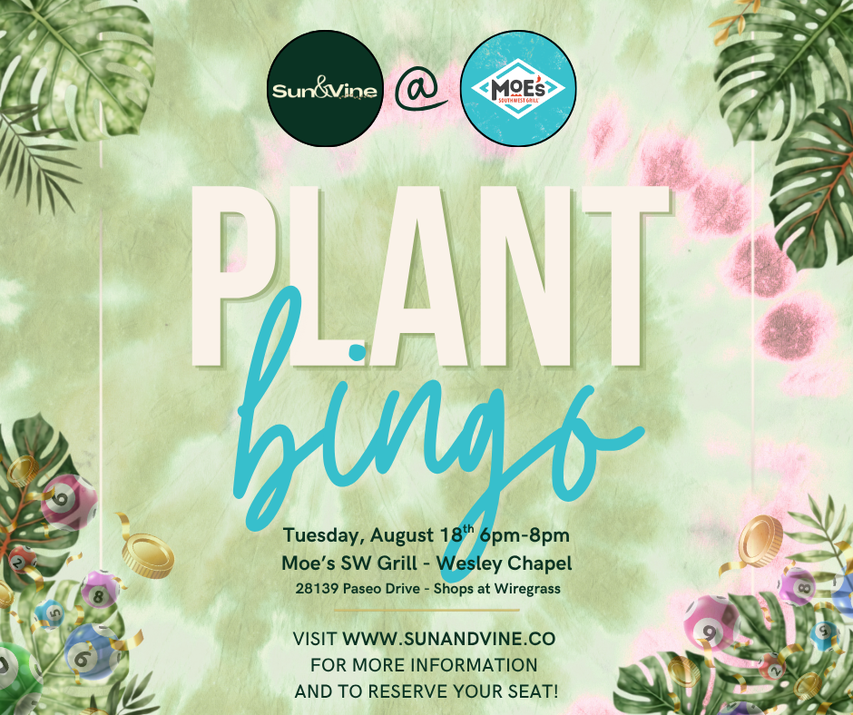 Plant Bingo - Wesley Chapel (Moe's)