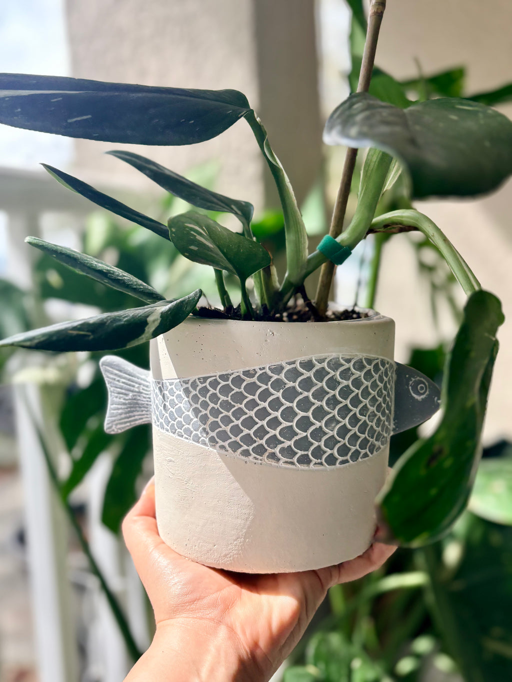 3D Fish Planter
