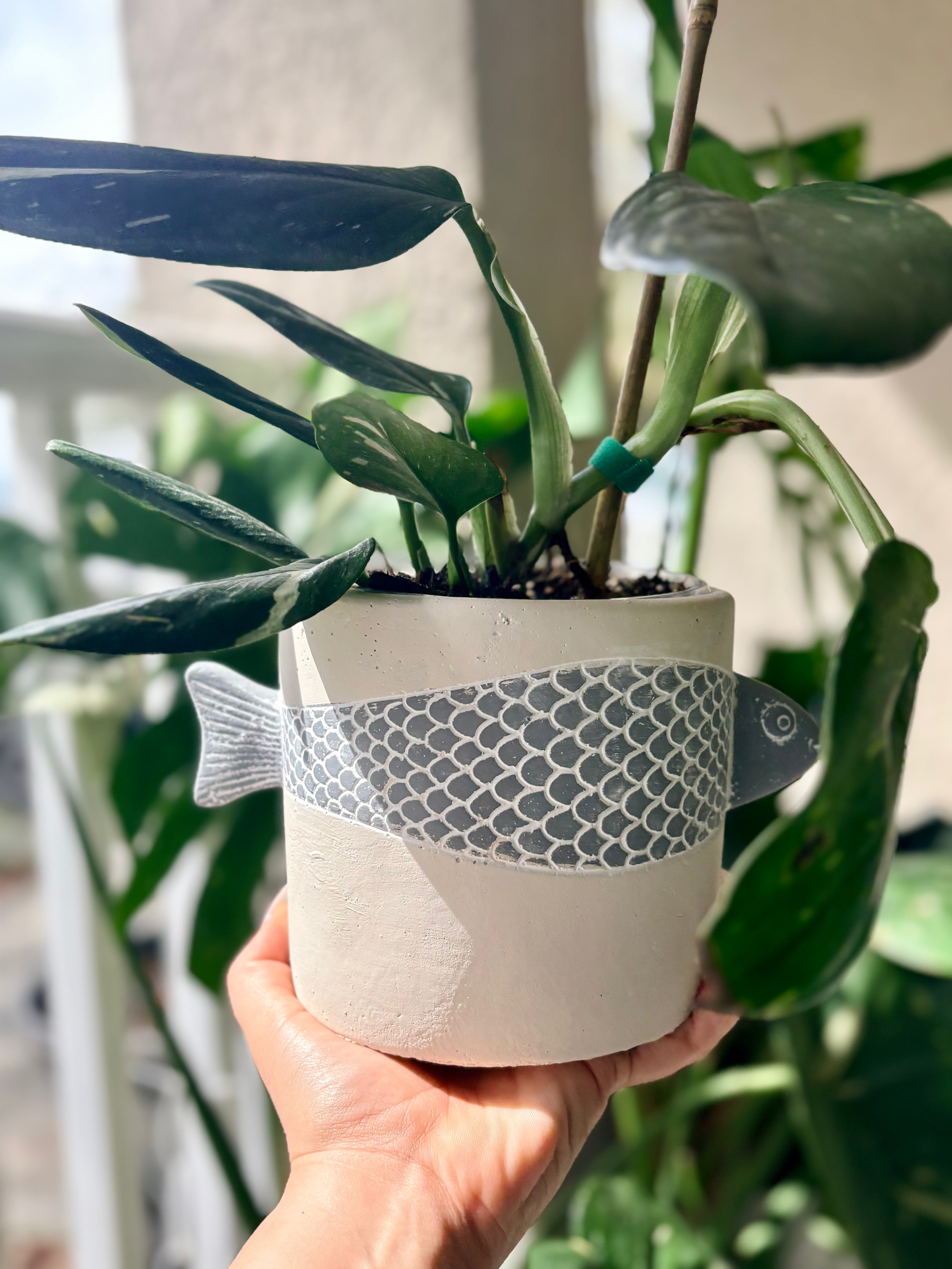 3D Fish Planter