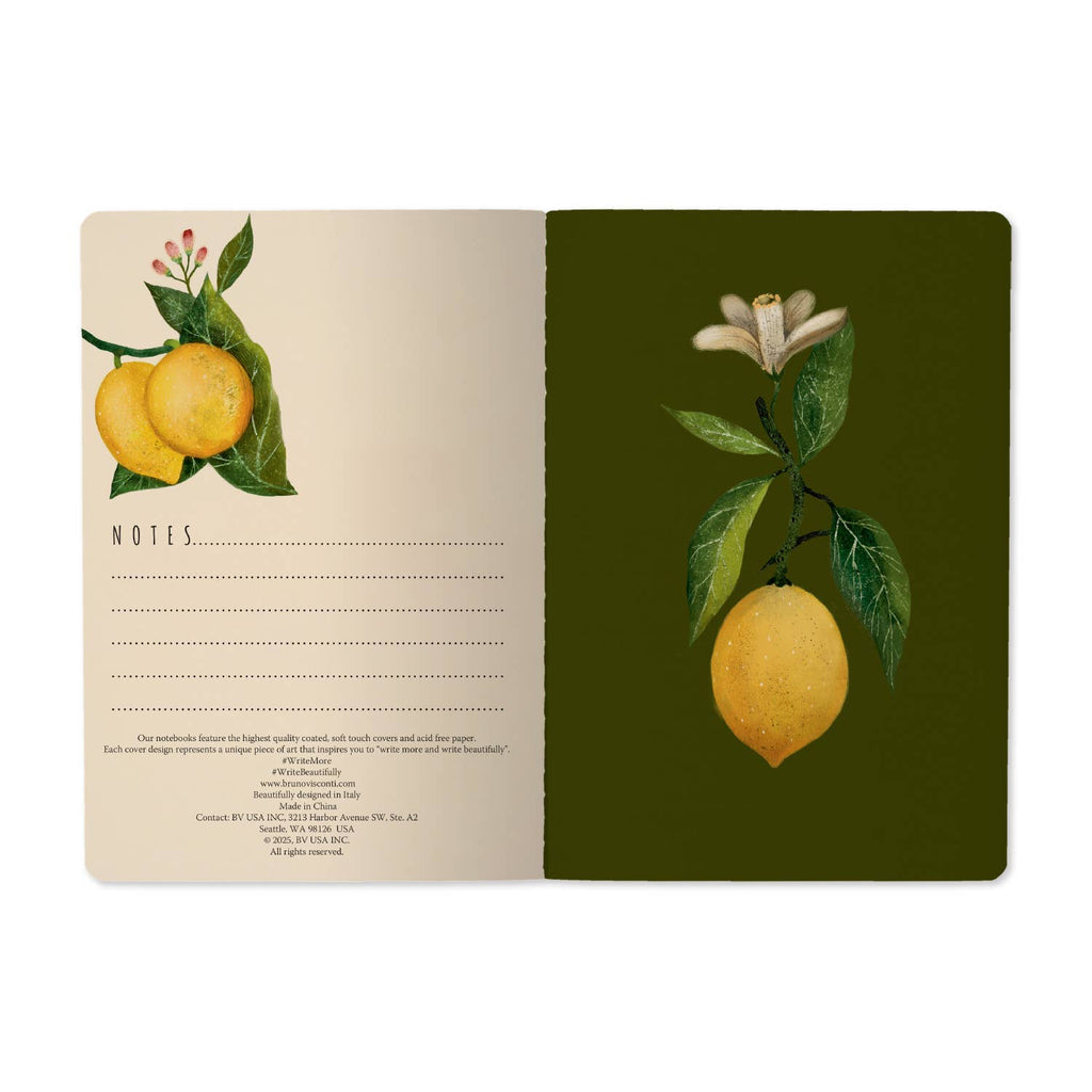 Lemons Notebook