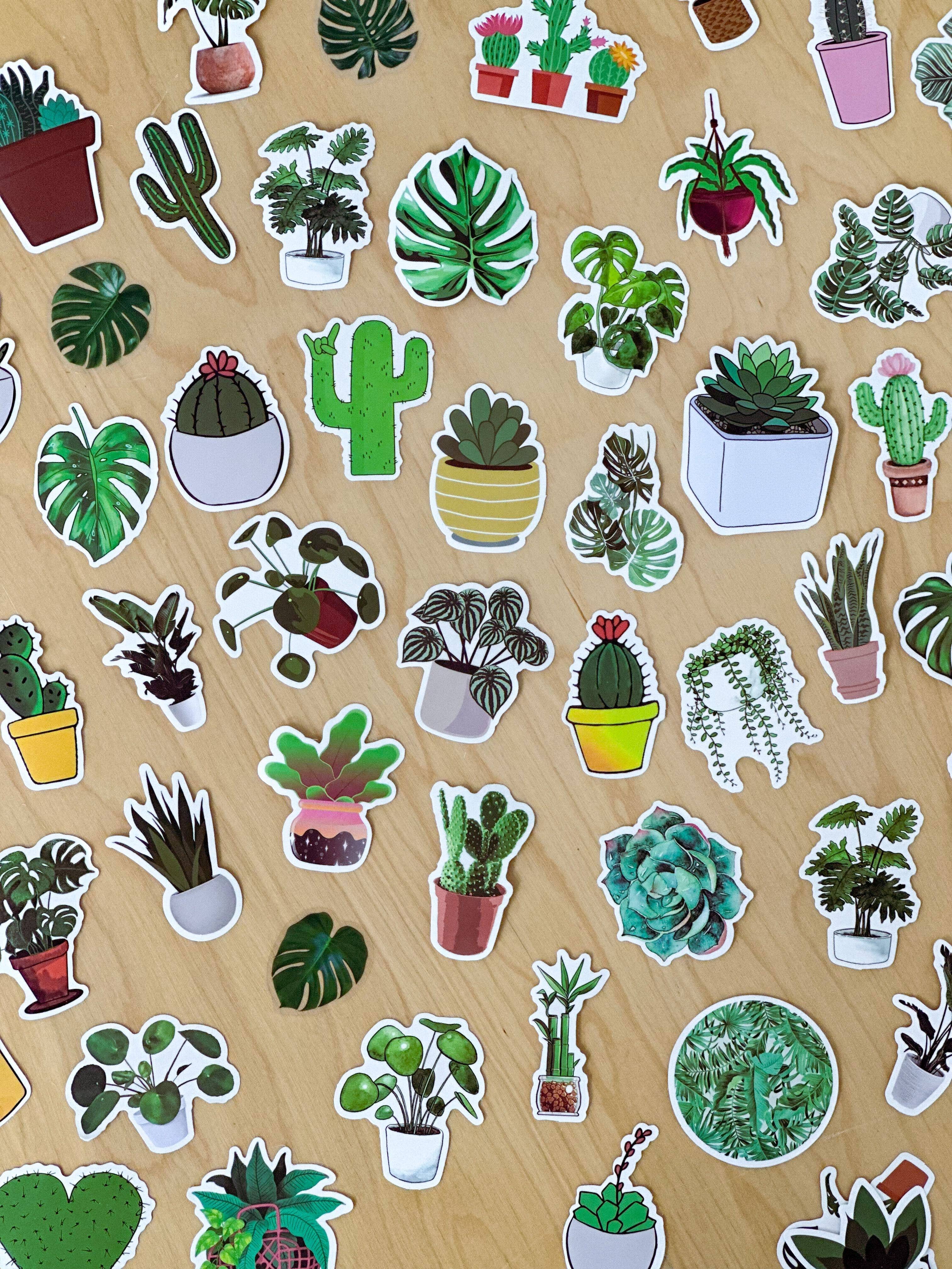 Houseplant Sticker Mystery Pack