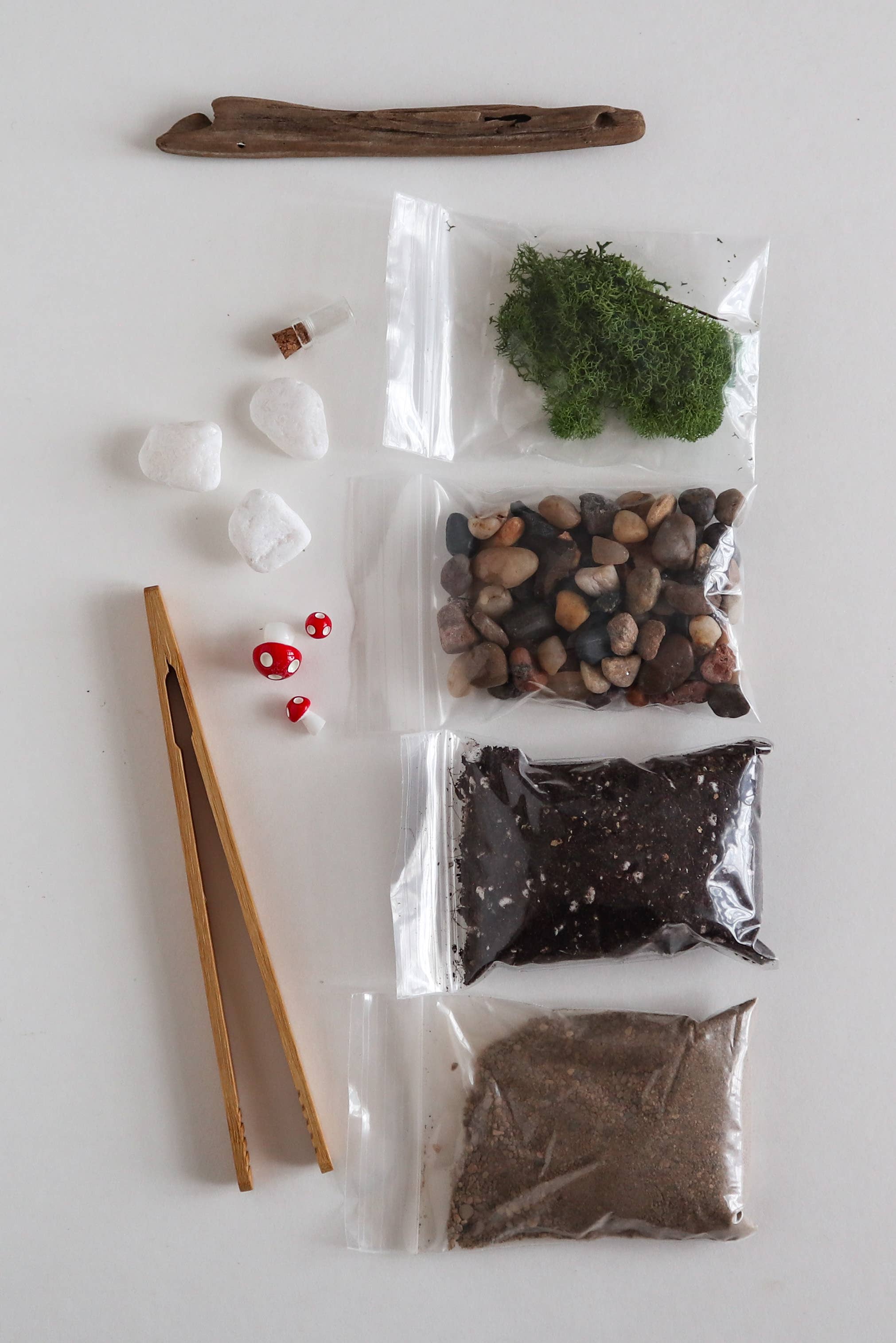 DIY Terrarium Kit