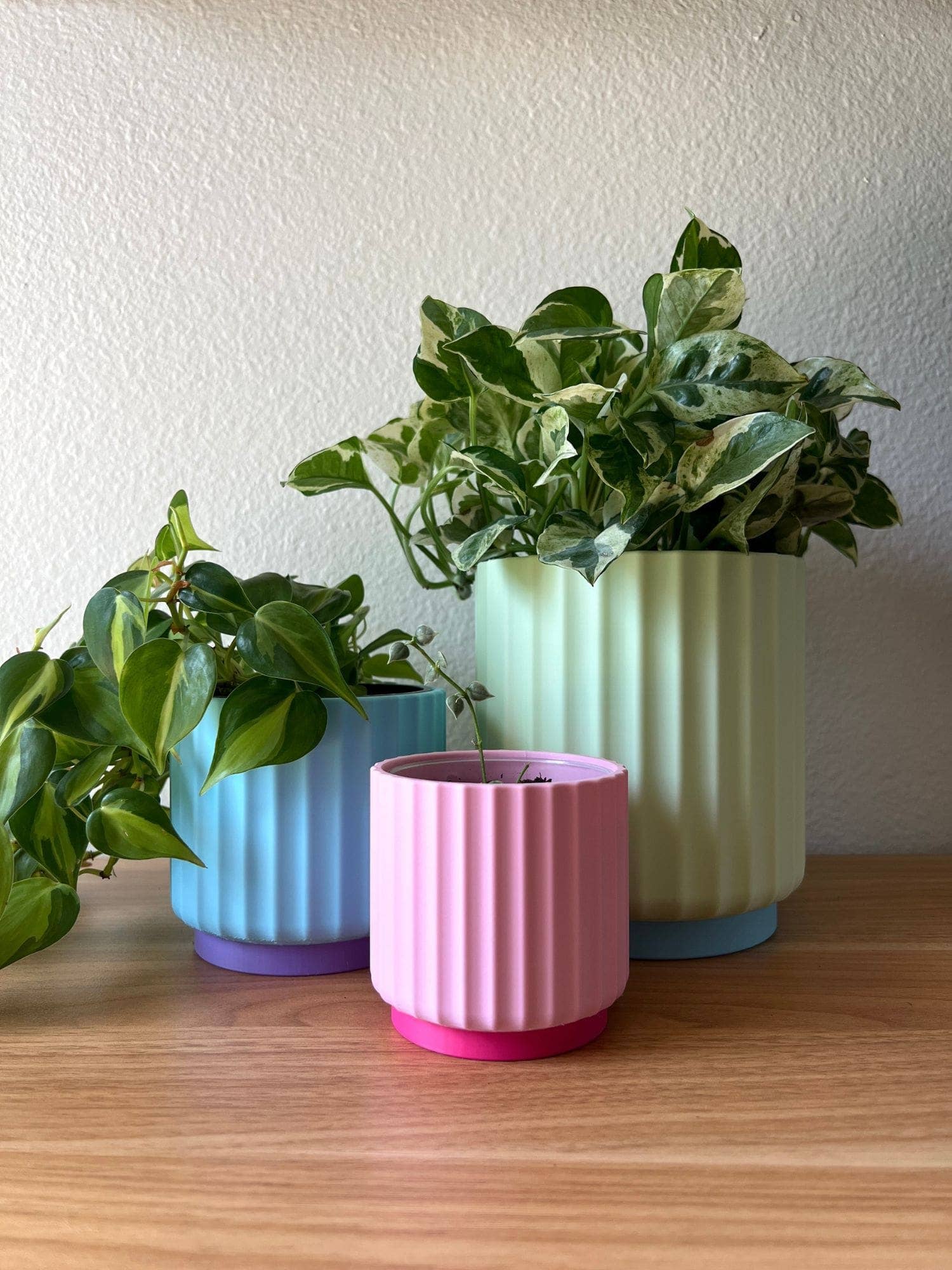 Colorful Planter 3", 4", 5"