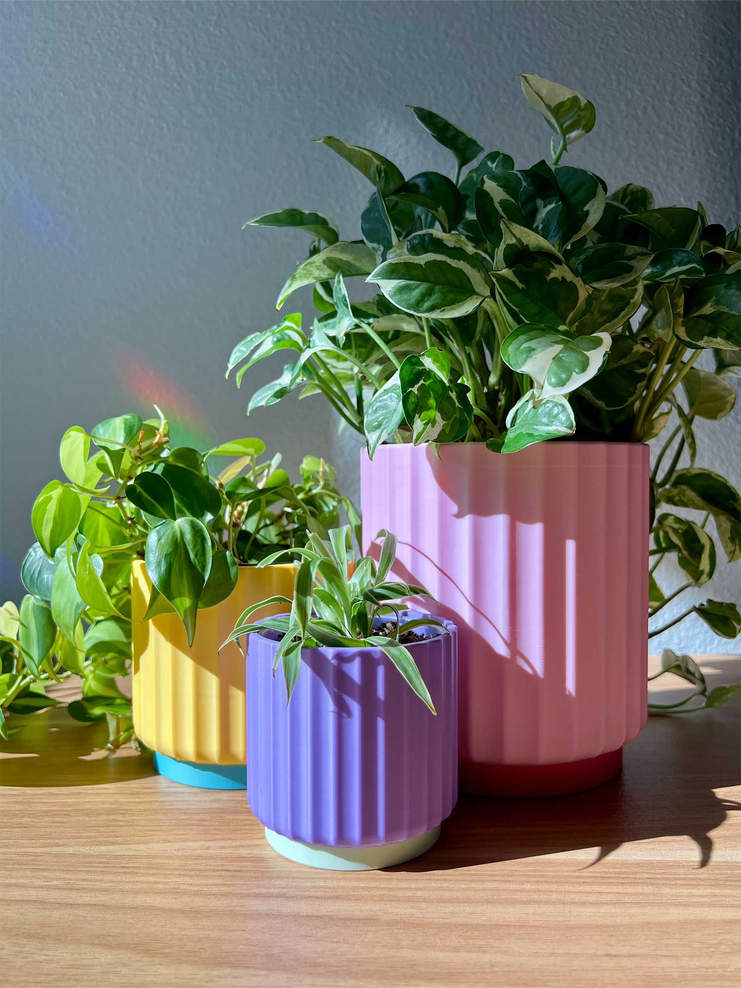 Colorful Planter 3", 4", 5"