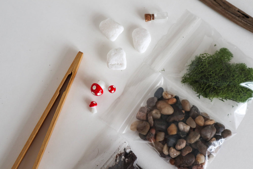 DIY Terrarium Kit