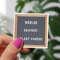 Worlds Okayest Plant Parent Sticker