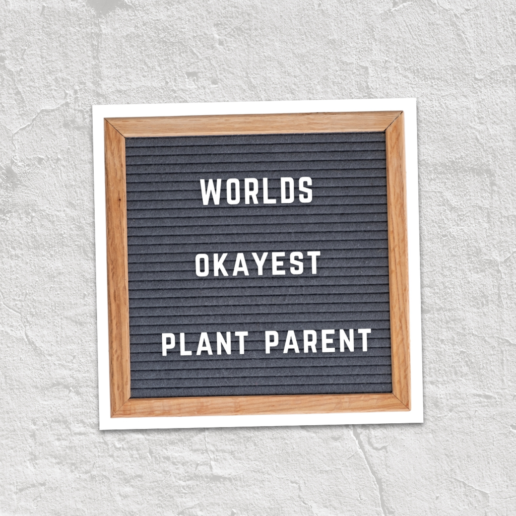Worlds Okayest Plant Parent Sticker