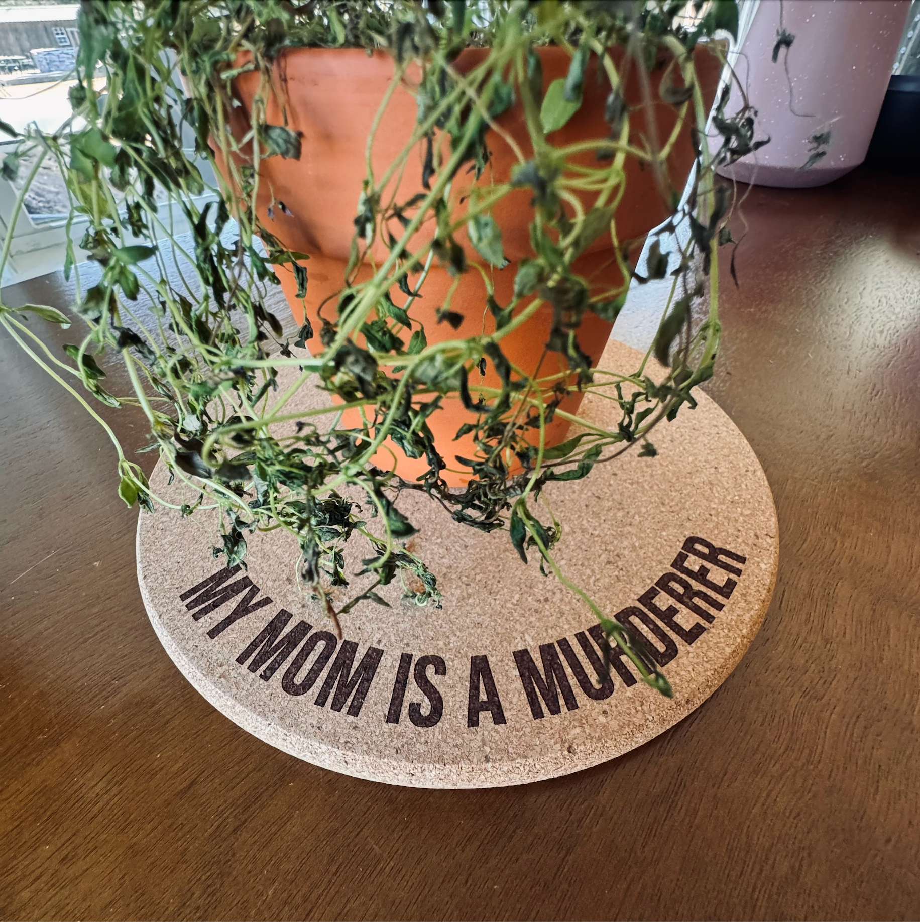 My Mom Is A Murderer Plant Mat