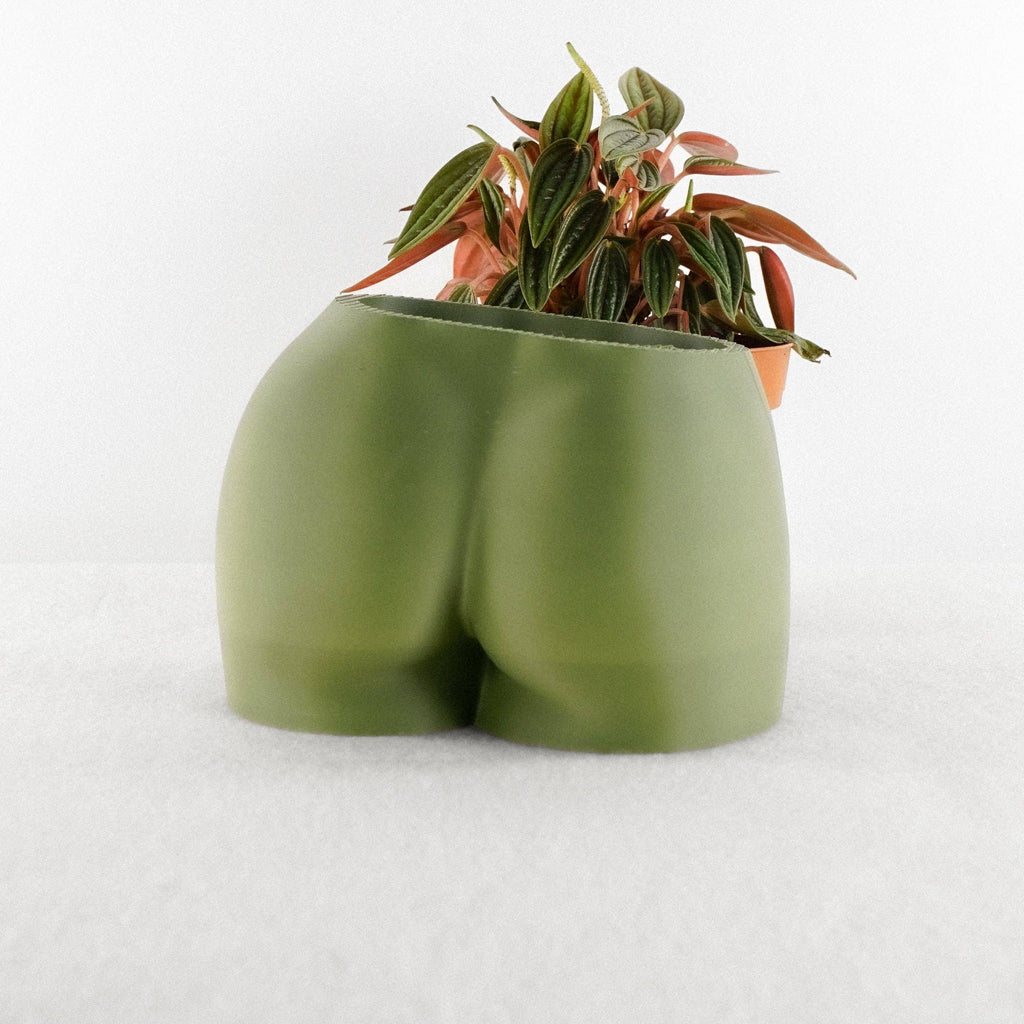 3D Booty Planter