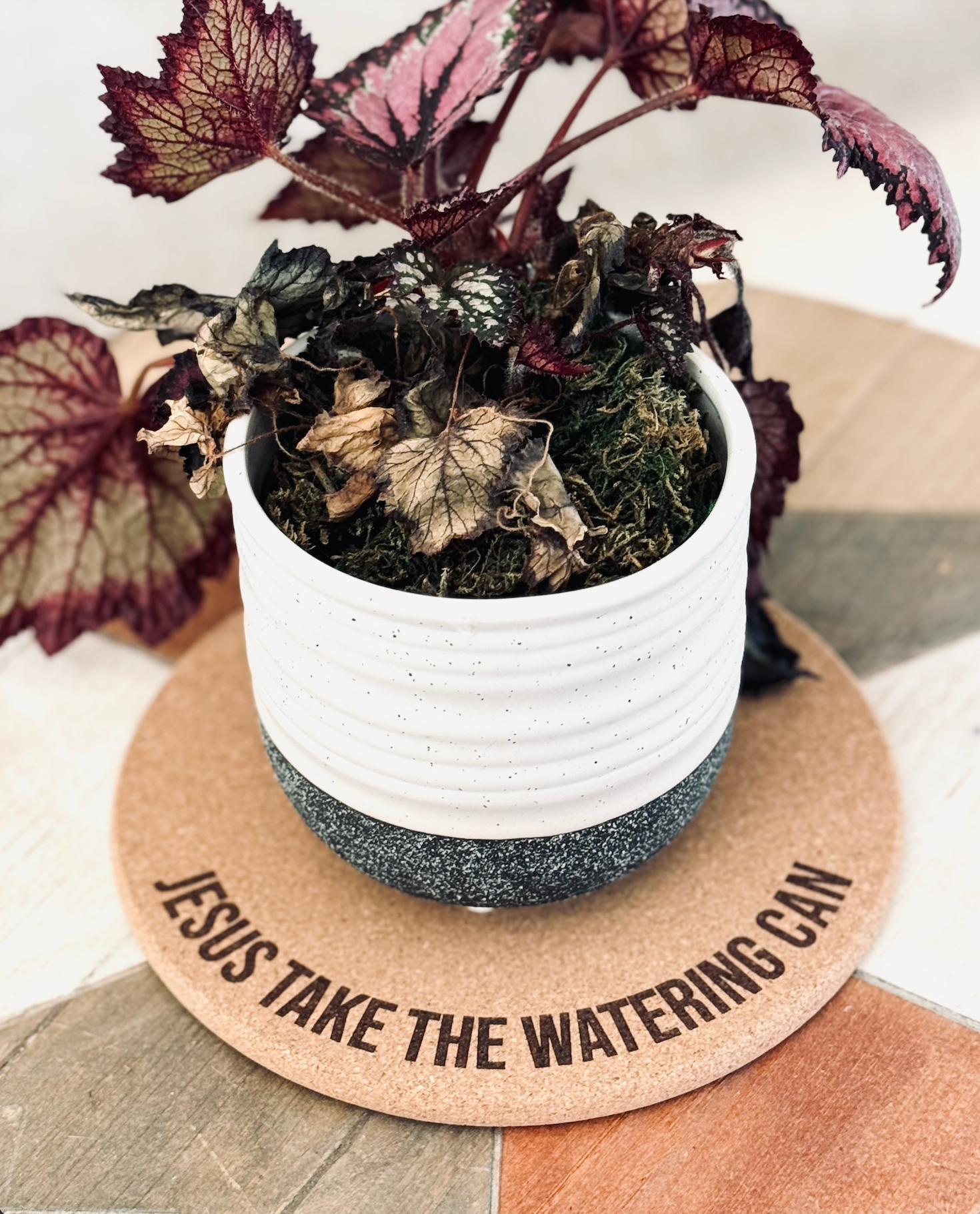 Jesus Take The Watering Can | Plant Mat