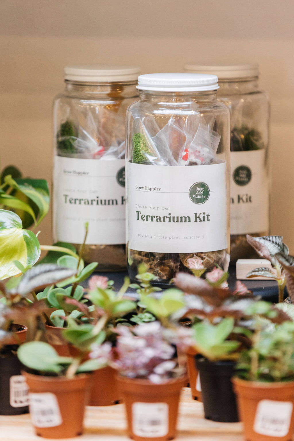 DIY Terrarium Kit